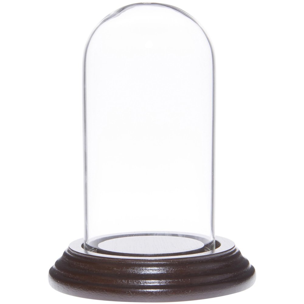 Plymor 2" x 4" Mini Glass Display Dome Cloche (Dark Mahogany Veneer Base)