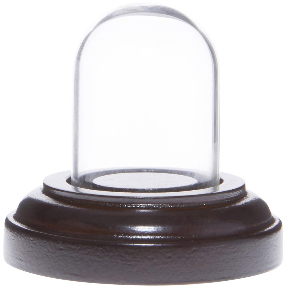 Plymor Miniature 1" x 1.5" Mini Glass Display Dome Tiny Cloche (Dark Mahogany Veneer Base)