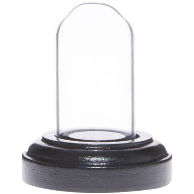 Plymor Miniature 1" x 2" Mini Glass Display Dome TINY Cloche (Black Wood Veneer Base)
