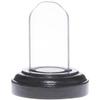 Plymor Miniature 1" x 2" Mini Glass Display Dome TINY Cloche (Black Wood Veneer Base) view 1