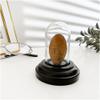 Plymor Miniature 1" x 2" Mini Glass Display Dome TINY Cloche (Black Wood Veneer Base) view 2