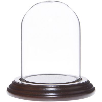Plymor 2.5" x 3.5" Small Glass Display Dome Cloche (Dark Mahogany Veneer Base)