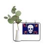 DIYthinker Flower Skull Illustrations Metal Picture Frame Ceramic Vase Decor view 1