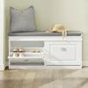 Haotian Shoe Storage Bench Entryway, Shoe Cabinet Bench with 2 Flip Drawers & Cushion, Modern Design Shoe Organizer for Hallway, White FSR64-W view 1