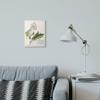 Stupell Industries 'Vintage Botanical Plant Illustration', Wall Plaque Art, 10 x 15 Inches, Easy to Hang and Sturdy, Made in USA, by Unknown Artist view 3