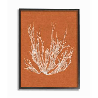 Stupell Industries 'Coral Seaweed Orange White Beach Design', Framed Giclee Art, Black, 11 x 14 Inches, Easy to Hang and Sturdy, Made in USA, by Vision Studio