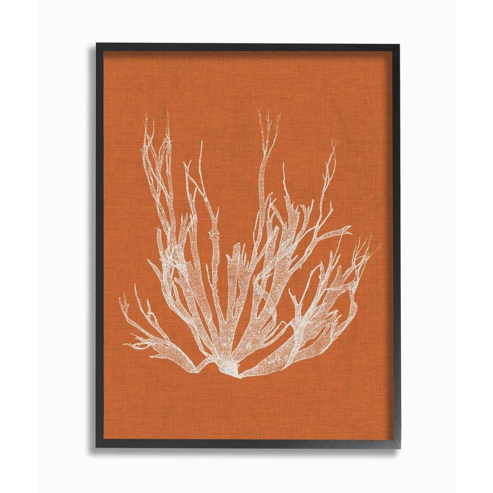 Stupell Industries 'Coral Seaweed Orange White Beach Design', Framed Giclee Art, Black, 11 x 14 Inches, Easy to Hang and Sturdy, Made in USA, by Vision Studio