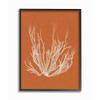 Stupell Industries 'Coral Seaweed Orange White Beach Design', Framed Giclee Art, Black, 11 x 14 Inches, Easy to Hang and Sturdy, Made in USA, by Vision Studio view 1