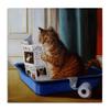 Stupell Industries Litter Box Reading Funny Cat, Designed By Lucia Heffernan, 17 x 17, Canvas Wall Art view 1