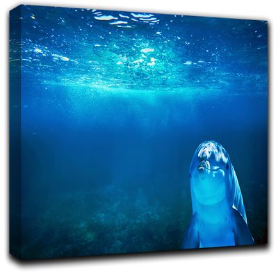 Dolphin Wall Art Decor Picture Painting Poster Print on Canvas Panels Pieces - Creative Theme Wall Decoration Set - Dolphin Wall Picture for Creative Space 17 by 30 in