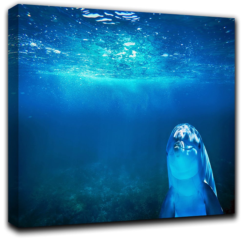 Dolphin Wall Art Decor Picture Painting Poster Print on Canvas Panels Pieces - Creative Theme Wall Decoration Set - Dolphin Wall Picture for Creative Space 17 by 30 in