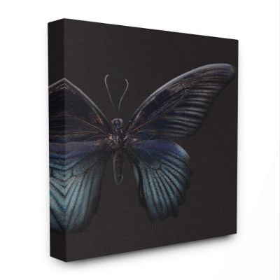 Stupell Industries Butterfly Abstract Wings Animal Photograph Canvas Wall Art, 16 x 20, Multi-Color