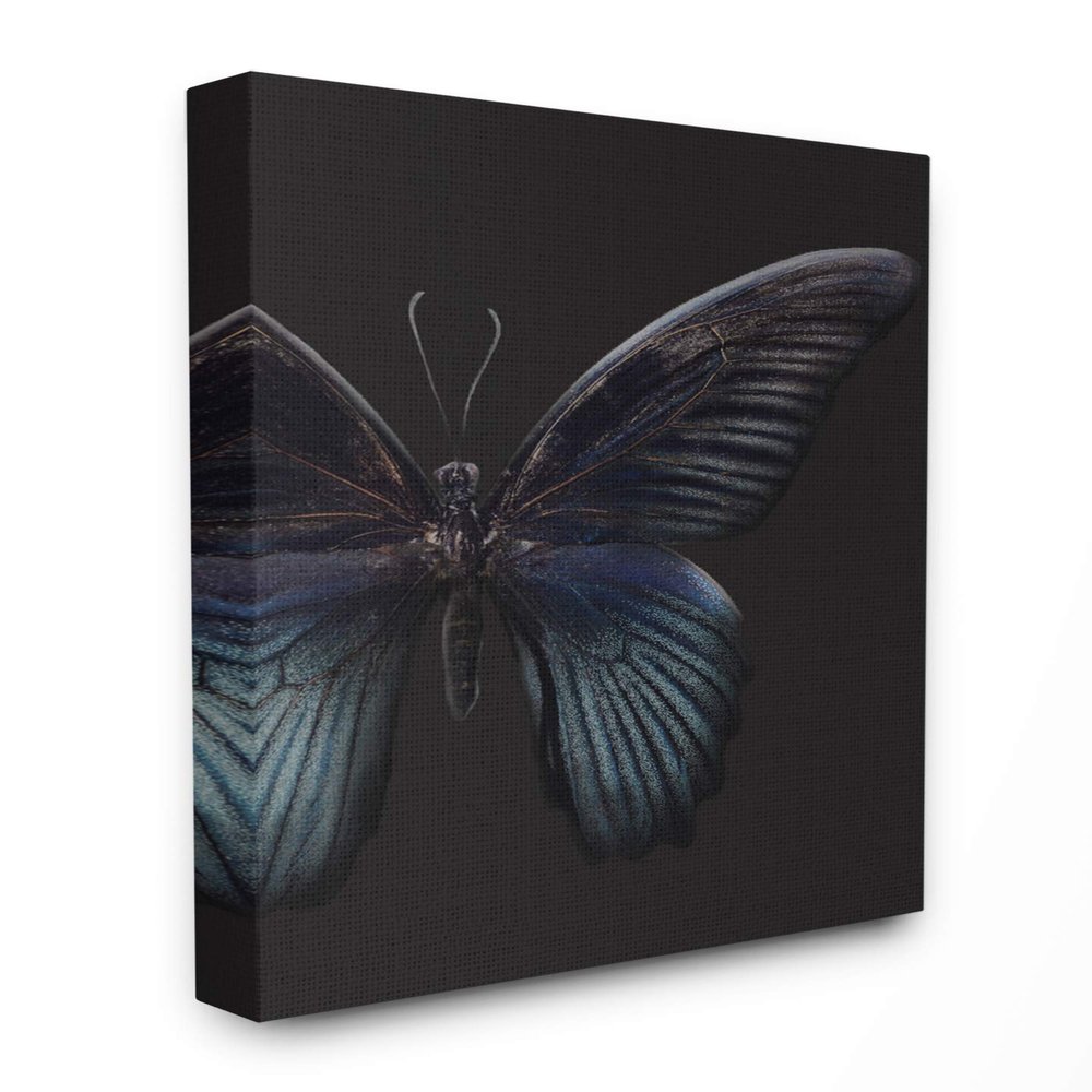 Stupell Industries Butterfly Abstract Wings Animal Photograph Canvas Wall Art, 16 x 20, Multi-Color
