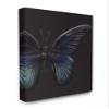 Stupell Industries Butterfly Abstract Wings Animal Photograph Canvas Wall Art, 16 x 20, Multi-Color view 1