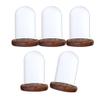 homozy 5Pcs Clear Glass Dome Cloche with Base, Antique Bell Jar Display Dome, for Plants, Succulents, Fairy Lights, Photos Brown view 1