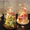homozy 5Pcs Clear Glass Dome Cloche with Base, Antique Bell Jar Display Dome, for Plants, Succulents, Fairy Lights, Photos Brown view 2