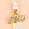 10PCS Graduation Doctor Bachelor Hat Tassels 2020 Ornaments Hanging Ear Cap Hanging Pendant Tassels view 4
