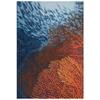 Liora Manne Marina Low Profile Durable Indoor/Outdoor Woven Rug- Coral Ocean 3'3" x 4'11" view 2