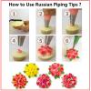 ANSLYQA Russian Piping Tips Set, 166 Pcs with 30 Numbered Russian Tips, 24 Numbered Icing Tips, 1 Ball Tip, 2 Leaf Tips, Pattern Chart, 3 Couplers, 100 Pastry Bags & More for Cake Cupcake Decorating view 4
