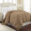 1-Pc Comforter Olympic Queen 98x98 Size1-Pc Comforter 100% Egyptian Cotton, 600 Thread Count (200 GSM Micro Fill Diamond Box Stitched) - Machine Washable, Taupe Solid view 1