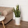 Boao 2 Pcs 12 Inch Large Cork Plant Coaster Round Cork Mat for Plant view 2