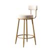 JHome-Barstools Barstool Chair Velvet Upholstered Footrest Stool Sponge Backrest with Gold Metal Legs Bar Counter Chair for Pub Bistro Kitchen Dining Chair Max. Load 400lb view 1