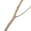 Uniquewise 12 pcs Natural Decorative Dry Branches Authentic Willow Sticks for Home Decoration, Wedding Craft, 47 in, Peeled White, DIY Greenery Plants Craft Vases fillers Garden Hotel Farmhouse Decor view 2