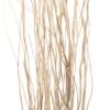 Uniquewise 12 pcs Natural Decorative Dry Branches Authentic Willow Sticks for Home Decoration, Wedding Craft, 47 in, Peeled White, DIY Greenery Plants Craft Vases fillers Garden Hotel Farmhouse Decor view 4