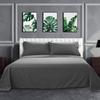 Bedding Castle - Luxurious - 800 Series - Egyptian Cotton - 4PC Bed Sheet Set - ( Flat Sheet + Fitted Sheet 28" Deep Pocket + 2 PC Pillow Cases ) - Fade Resistant - (Twin XL, Dark Grey) view 2