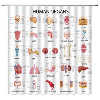 Human Organs Shower Curtain Anatomy Organ Body Complete Chart Structures Life Medical Science Skull Eyes Nose White Fabric Bath Curtains Bathroom Accessories Polyester with Plastic Hooks 70x70 Inch