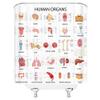 Human Organs Shower Curtain Anatomy Organ Body Complete Chart Structures Life Medical Science Skull Eyes Nose White Fabric Bath Curtains Bathroom Accessories Polyester with Plastic Hooks 70x70 Inch view 3