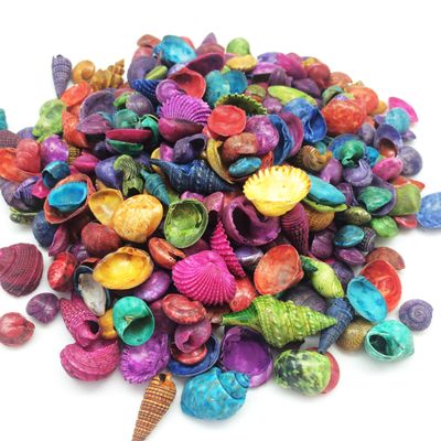 PEPPERLONELY Mixed Dyed Assorted Colors India Sea Shells, 8 OZ Apprx.360+ PC Shells, 1/2Inch ~ 1-1/4 Inch