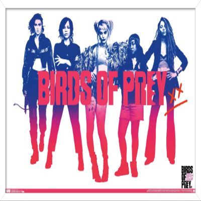 Trends International DC Comics Movie - Birds of Prey - Group Wall Poster, 14.725" x 22.375", White Framed Version