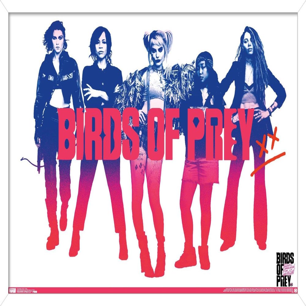 Trends International DC Comics Movie - Birds of Prey - Group Wall Poster, 14.725" x 22.375", White Framed Version