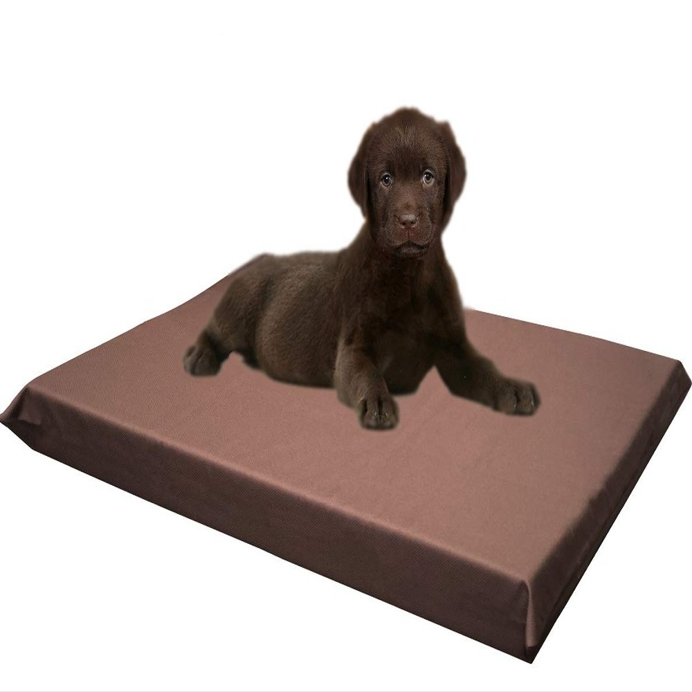 Orthopedic Extreme Quality Memory Foam Dog Bed with Vibrant and Fun Waterproof Cover Case (34x27x3 inches, Choco Brown)
