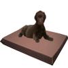 Orthopedic Extreme Quality Memory Foam Dog Bed with Vibrant and Fun Waterproof Cover Case (34x27x3 inches, Choco Brown) view 1