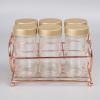 Set of 6 Glass Spice Bottle Jar with Copper Finished Rack Organizer Gold Steel view 4