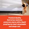 Layla Mattress Protector, Liquid Proof Mattress Pad Barrier | Breathable Waterproof Bed Encasement That Sleeps Cool | 3 Models for a Custom Sleep Experience | Size King - Essential Protector view 2
