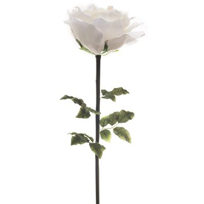 Anderson's Jumbo White Rose - 65 inches