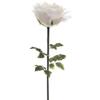 Anderson's Jumbo White Rose - 65 inches view 1