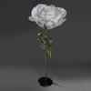 Anderson's Jumbo White Rose - 65 inches view 3