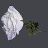 Anderson's Jumbo White Rose - 65 inches view 4