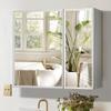 Double Doors Medicine Cabinet with Mirror, 30 inch X 26 inch Aluminum Bathroom Medicine Cabinet, Adjustable Glass Shelves, Waterproof and Rust-Resist, Recess or Surface Mount Installation,Silver view 2