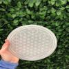 CrystalsAhoy 6" Circle 61 Flower of life etched Selenite Charging Plate, Sacred Geometry, Charge your crystals in style view 2