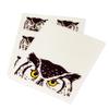 Abbott Collection 84-ASD-AB-42 S/2 Peeking Owl Dish Cloth, 6.5x8 inches L, Ivory/Black view 4