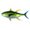 28" Yellowfin Tuna Saltwater Fish Wall Mount Trophy Taxidermy Hand Painted Hanging Plaque view 1