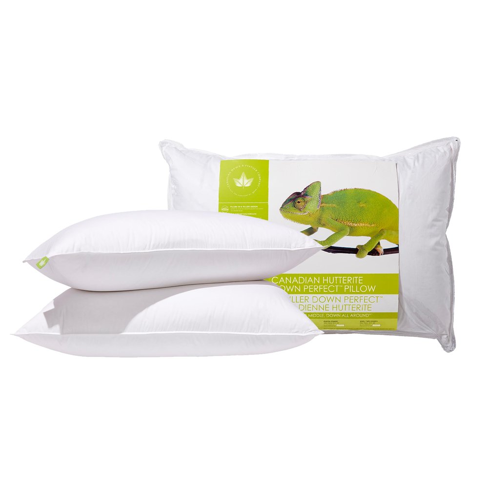 Canadian Down & Feather Co. - 2 Pack Medium Support Hutterite Down Perfect Pillow Standard Size - 400 TC Shell 100% Cotton - Made in Canada