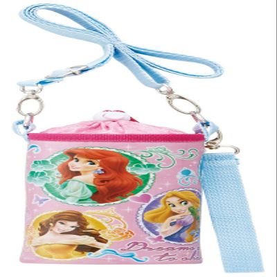 Skater PVPC6 Enamel Princess Plastic Bottle Case, Disney for 16.9 fl oz (500 ml)