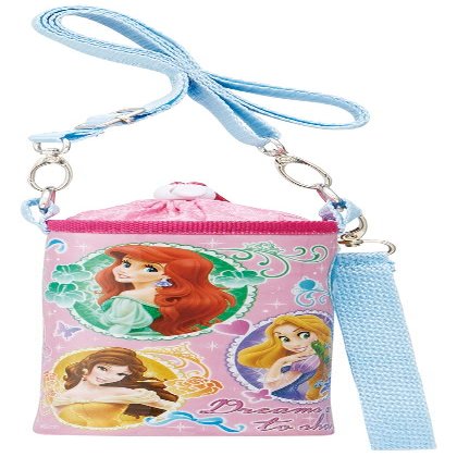 Skater PVPC6 Enamel Princess Plastic Bottle Case, Disney for 16.9 fl oz (500 ml)