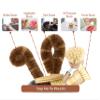 Ecozoi Bamboo Dish Brush Set, 6 Piece for Vegetable, and Kitchen Dish Cleaning, Sisal & Coconut Fibers with Bamboo Handles, Kitchen Brushes for Dishes, Pots, Pans view 3